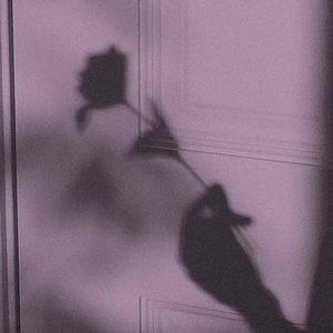 香蕉视频在线看
