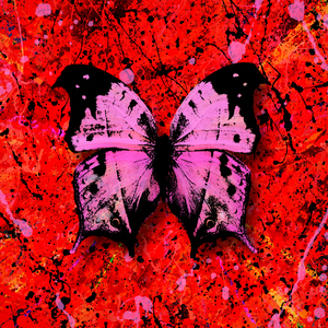 香蕉视频在线看
